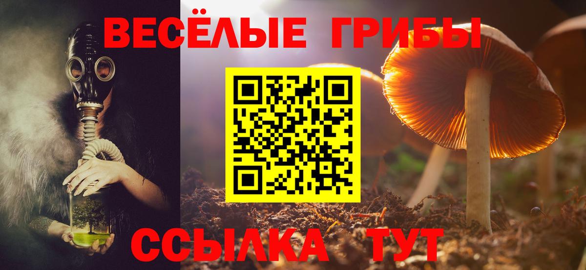 Галлюциногенные грибы MAGIC MUSHROOMS  Галлюциногенные грибы Psilocybe  Вход с VPN  Новошахтинск 